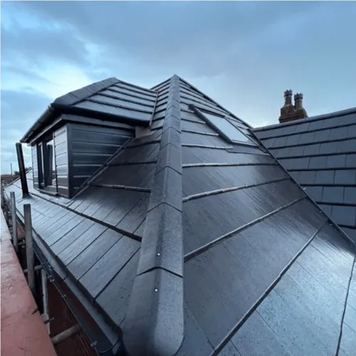 Recent roof project